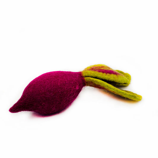 Beet Pet Toy